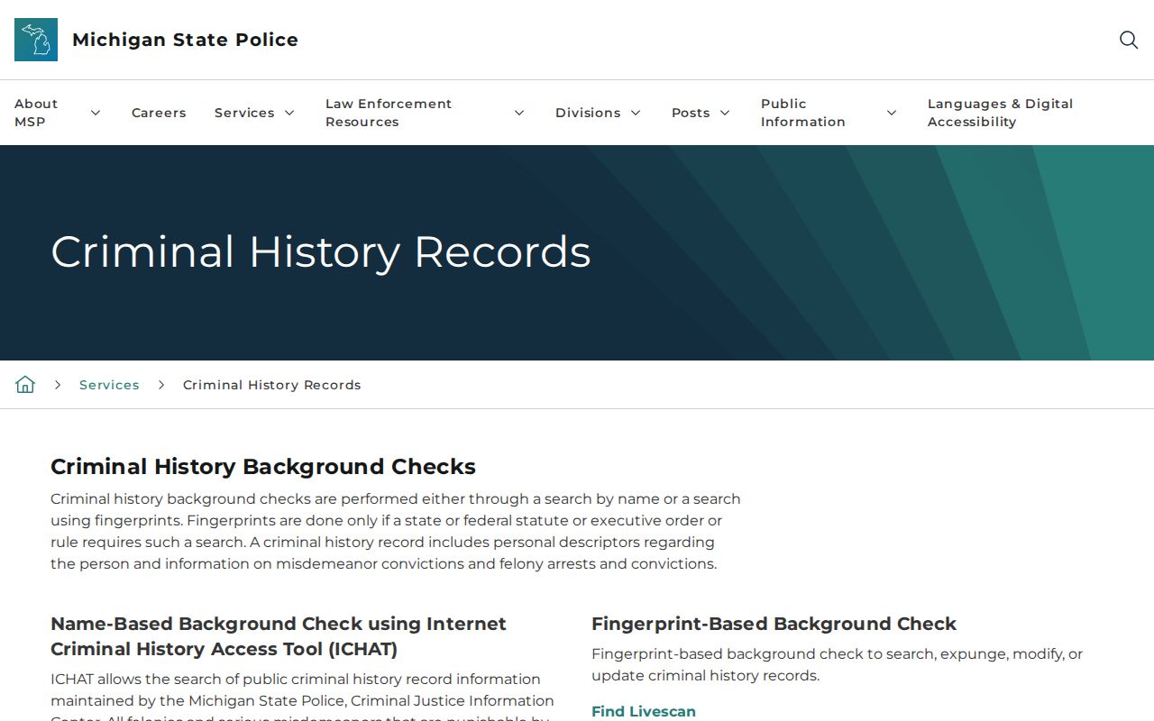 Michigan State Police criminal history search and record review options